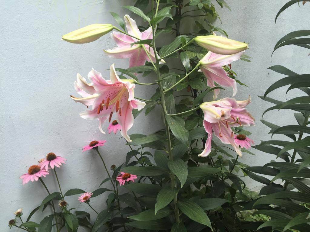 Duri Guest House Seoul Luaran gambar